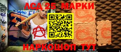 гидропоника Кингисепп