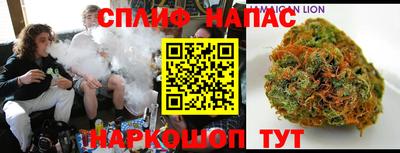 гидропоника Кингисепп